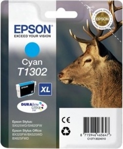 Epson t13024010