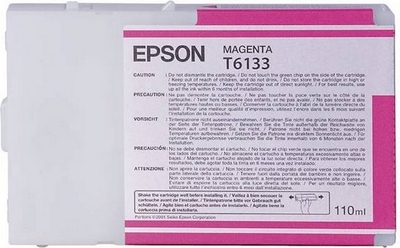 Epson t613300