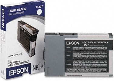 Epson t543700