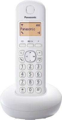 Panasonic KX-TGB210RUW