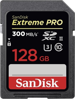 SanDisk SDSDXPK