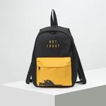 Рюкзак молодёжный, отдел на молнии, наружный карман, цвет чёрный/оранжевый NAZAMOK 5352883