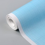 Масштабно-координатная бумага, 60 г/кв.м, 87 см, 10 м, цвет голубой Лилия Холдинг 5074941