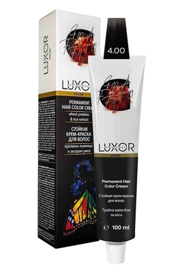 Luxor Professional 4.00,